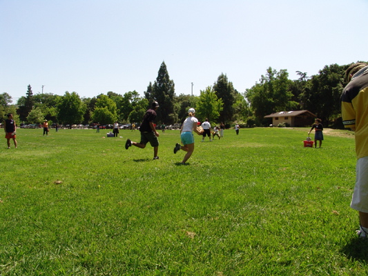 beer ball 36