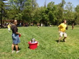 beer ball 30