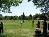 beer ball 28