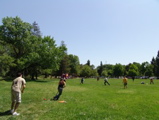 beer ball 35