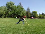 beer ball 44