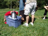 beer ball 6